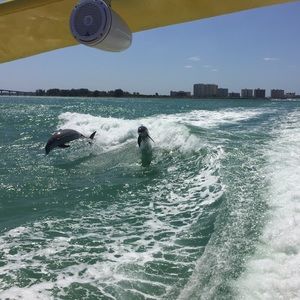 Meet your Posher, Nikki